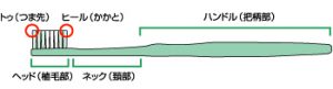 歯ブラシの名称