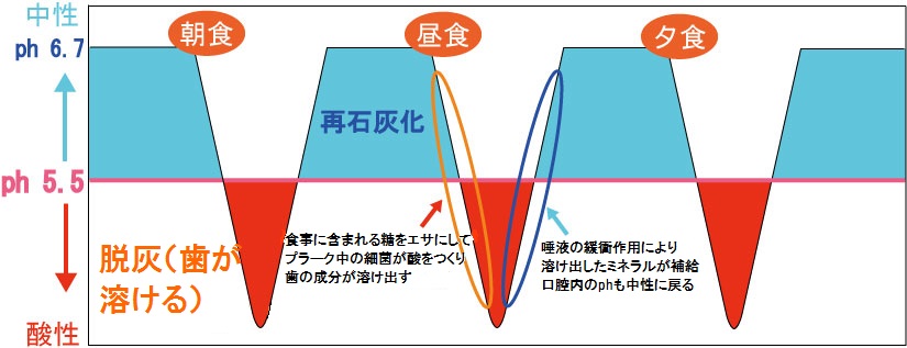 カーブ ステファン