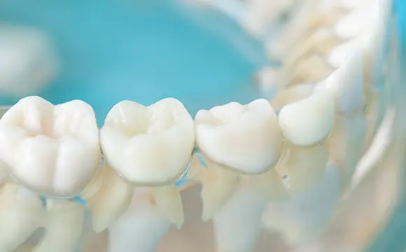 できるだけ歯を抜かない治療が可能