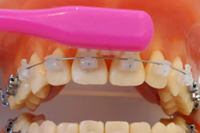 歯肉に近い歯面を磨きます。